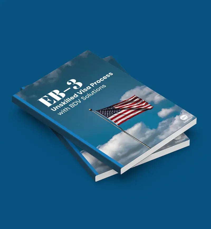 BDV Guide EB3 Timeline Process Mockup